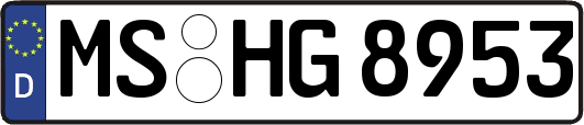 MS-HG8953