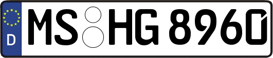 MS-HG8960