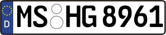 MS-HG8961
