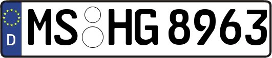 MS-HG8963