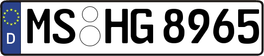 MS-HG8965