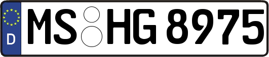 MS-HG8975