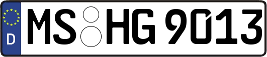 MS-HG9013