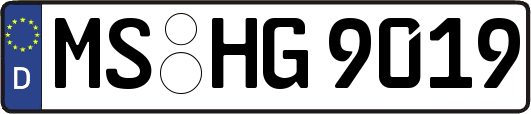 MS-HG9019