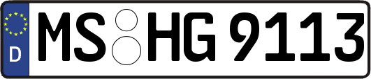 MS-HG9113