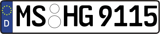 MS-HG9115