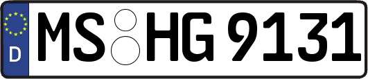 MS-HG9131