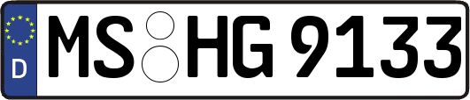 MS-HG9133