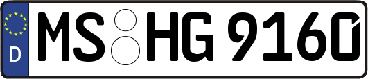 MS-HG9160