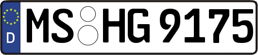 MS-HG9175