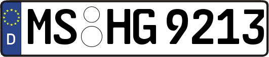 MS-HG9213