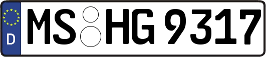 MS-HG9317