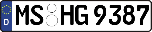 MS-HG9387
