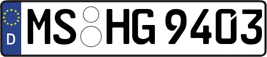 MS-HG9403