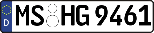 MS-HG9461