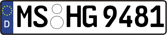 MS-HG9481