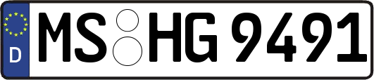 MS-HG9491
