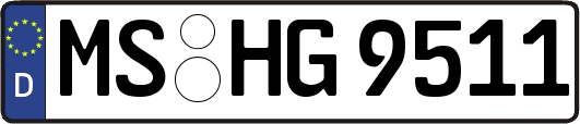 MS-HG9511