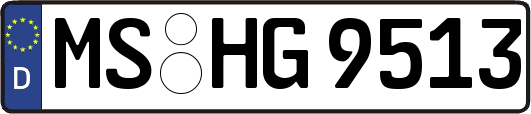 MS-HG9513