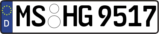 MS-HG9517