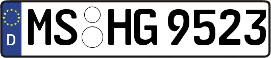 MS-HG9523