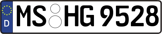 MS-HG9528