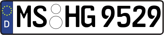 MS-HG9529