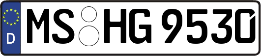 MS-HG9530