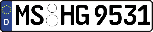 MS-HG9531