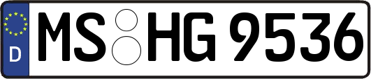 MS-HG9536