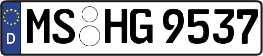 MS-HG9537