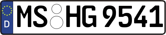 MS-HG9541
