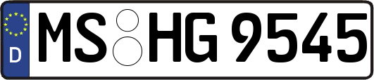 MS-HG9545