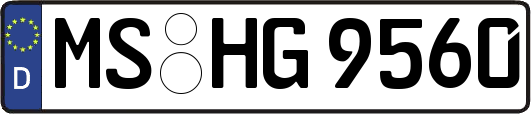 MS-HG9560