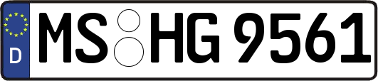 MS-HG9561