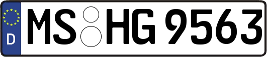 MS-HG9563