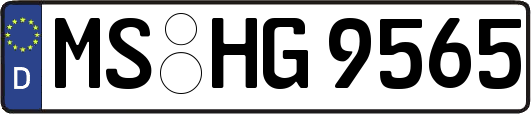 MS-HG9565