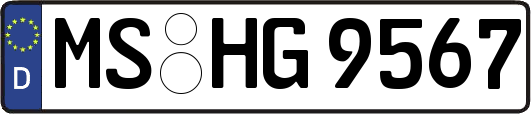 MS-HG9567