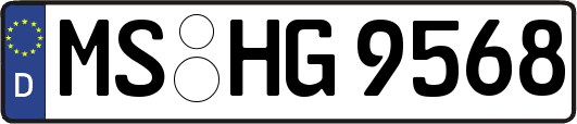 MS-HG9568