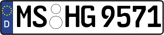 MS-HG9571