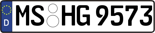 MS-HG9573
