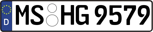 MS-HG9579