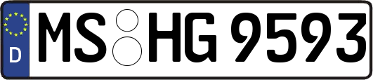 MS-HG9593