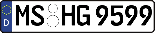 MS-HG9599