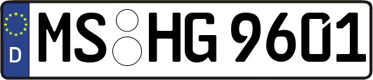 MS-HG9601