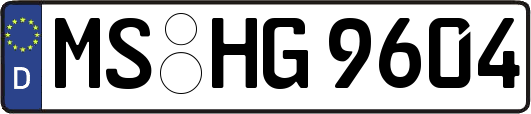 MS-HG9604