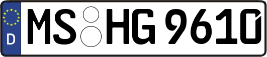 MS-HG9610