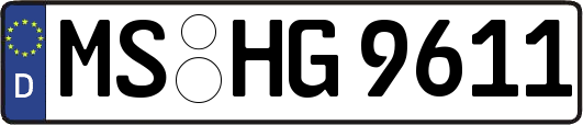 MS-HG9611