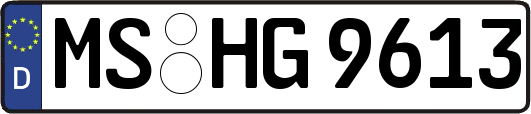 MS-HG9613