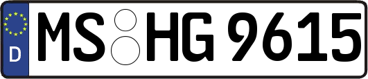 MS-HG9615